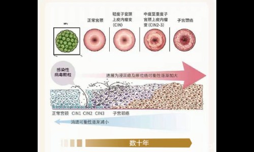 孕妇尿碘偏低对宝宝有影响吗网孕妇尿碘偏低对宝宝有影响吗女性知识网站,分享孕妇尿碘偏低说明什么大全